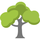 Brentwood Tree Trimming Service