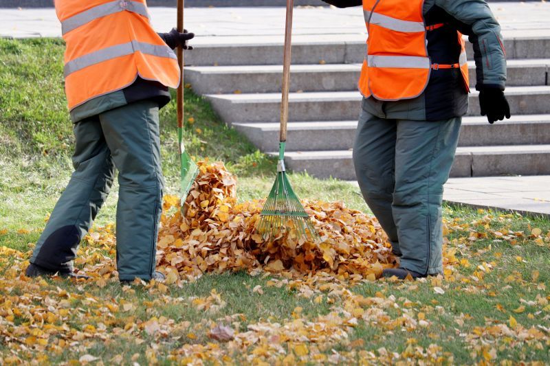 Efficient Leaf Collection