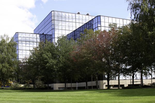Commercial Tree Trimming in Brentwood